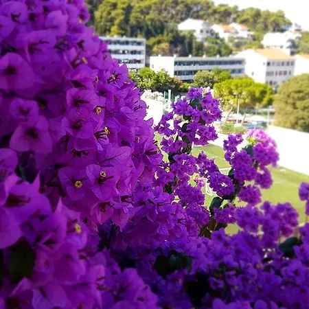 Daire Fora - Hvar Hvar Town