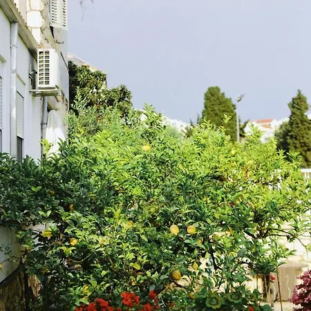 Appartement Fora - Hvar *