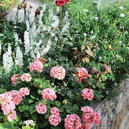 Fora - Hvar דירה *