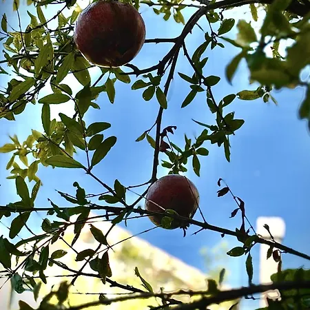 Fora - Hvar דירה