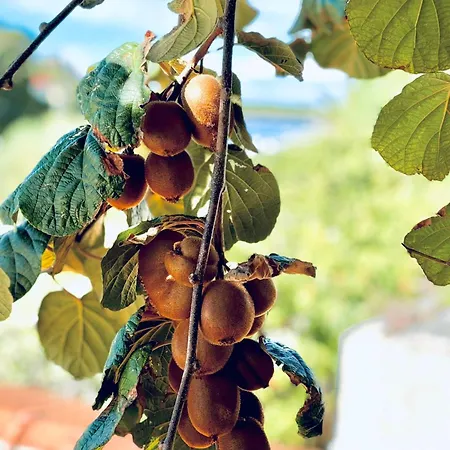 Fora - Hvar דירה *