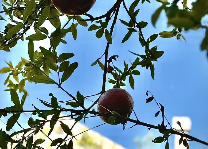 Fora - Hvar Appartamento