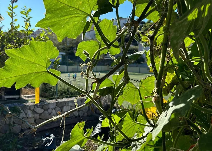 Appartamento Fora - Hvar